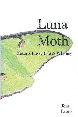 Luna Moth 1