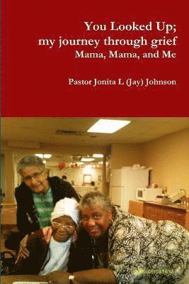Pastor Jonita L. (Jay) Johnson, Pastor Jonita L (Jay) Johnson - You Looked Up; My Journey Through Grief, Häftad