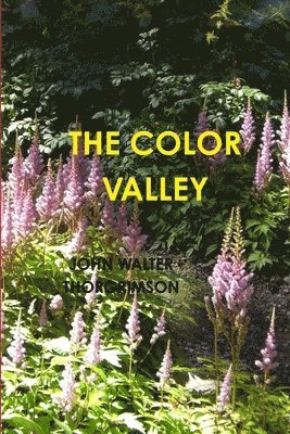bokomslag Color Valley