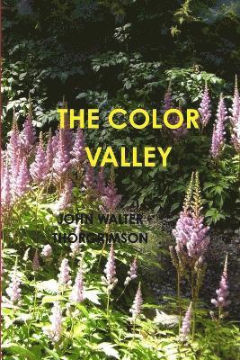 John Walter Thorgrimson - Color Valley, Häftad