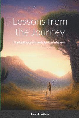 bokomslag Lessons from the Journey