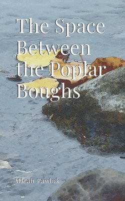 Micah Pawluk - Space Between the Poplar Boughs, Häftad