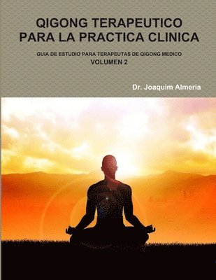 bokomslag Qigong Terapeutico Para La Practica Clinica Vol.2