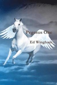bokomslag Pegasus One