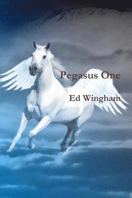 Pegasus One 1