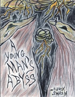 bokomslag Young Man's Abyss
