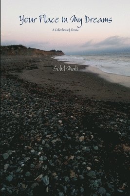 Sohil Mali - Your Place in My Dreams, Häftad