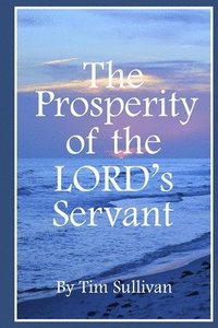 bokomslag The Prosperity of the Lord's Servant