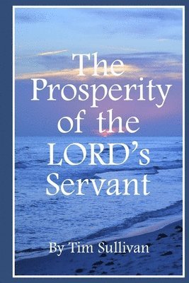 bokomslag The Prosperity of the Lord's Servant