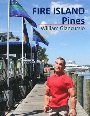 bokomslag Fire Island Pines