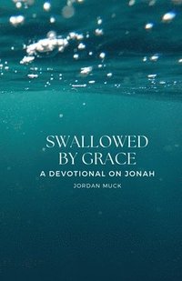 bokomslag Swallowed by Grace
