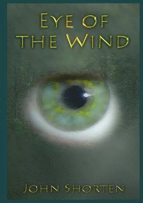 bokomslag Eye of the Wind