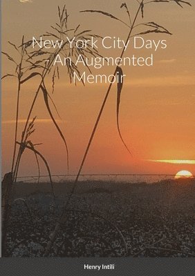 New York City Days - An Augmented Memoir 1