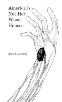bokomslag America is Not Her Wood Houses