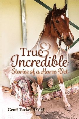 True and Incredible Stories of a Horse Vet 1