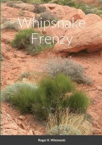 bokomslag Whipsnake Frenzy