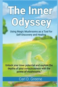 bokomslag Inner Odyssey