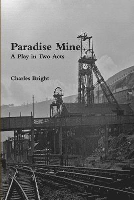 Paradise Mine 1