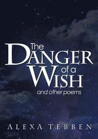 bokomslag The Danger of a Wish and other poems