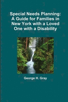 George Gray - Special Needs Planning: A Guide for Families in New York with a Loved One with a Disability, Häftad