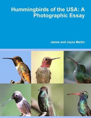 bokomslag Hummingbirds of the USA: A Photographic Essay