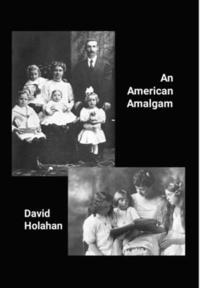bokomslag American Amalgam