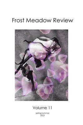 Patrick Stanton, Jackie Matthews - Frost Meadow Review Volume 11, Häftad