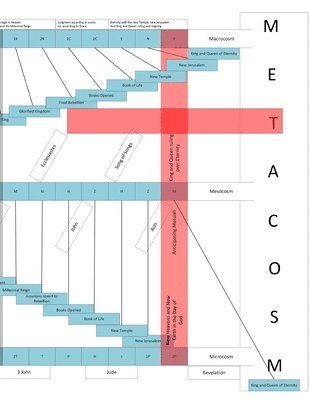 Dustin Blystone - Metacosm, Häftad