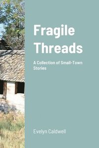 bokomslag Fragile Threads