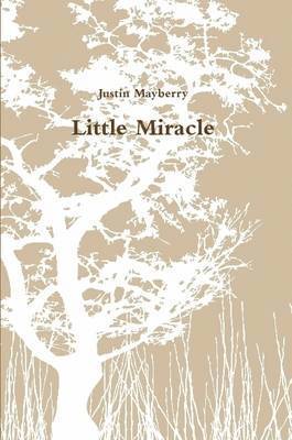 Justin Mayberry - Little Miracle, Häftad