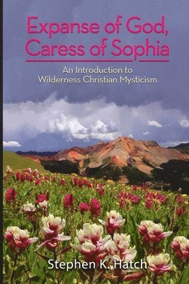 Stephen K Hatch - Expanse of God, Caress of Sophia, Häftad
