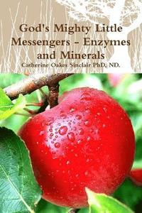 bokomslag God's Mighty Little Messengers - Enzymes and Minerals