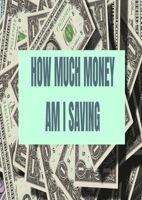 How Much Money Am I Saving 1