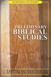 bokomslag Preliminary Biblical Studies
