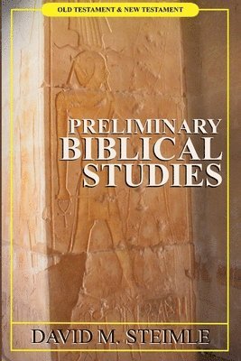 bokomslag Preliminary Biblical Studies