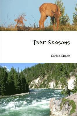 bokomslag Four Seasons