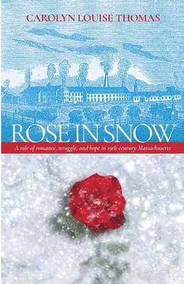 Rose in Snow 1