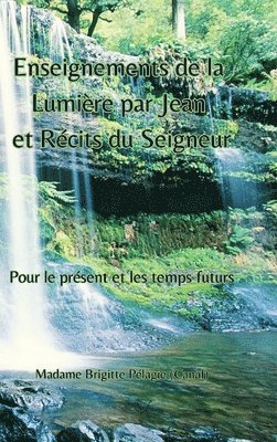 bokomslag Enseignements de La Lumière par Jean et Récits du Seigneur (couverture rigide)