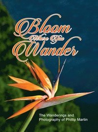 bokomslag Bloom Where You Wander (Expanded, glossy cover)