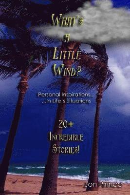 What's A Little Wind? 1