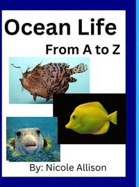 bokomslag Ocean Life