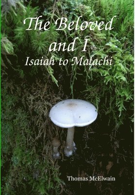 bokomslag The Beloved and I Isaiah to Malachi