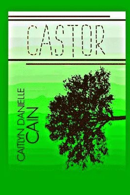 Castor 1