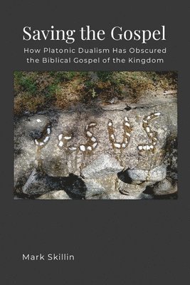 bokomslag Saving the Gospel