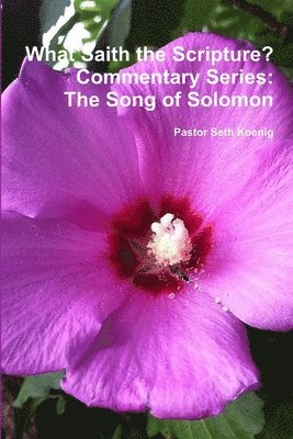 bokomslag What Saith the Scripture? The Song of Solomon