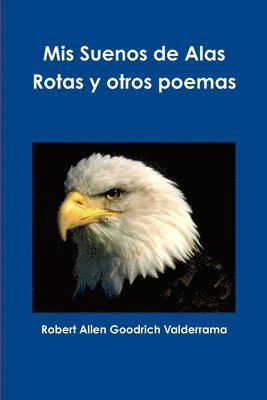 bokomslag Mis Suenos De Alas Rotas y Otros Poemas