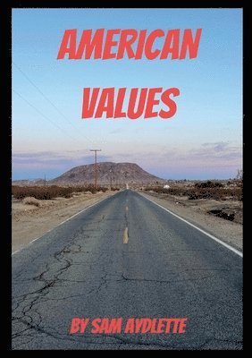 bokomslag American Values