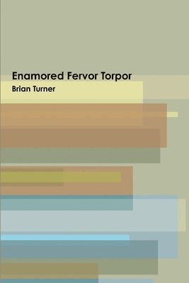 bokomslag Enamored Fervor Torpor