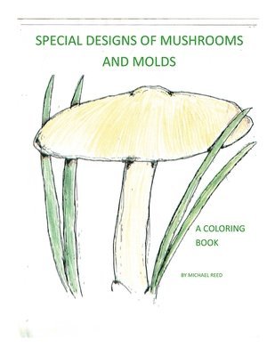 bokomslag Special Designs of Mushrooms and Molds