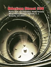 bokomslag Ibbetson Street #36